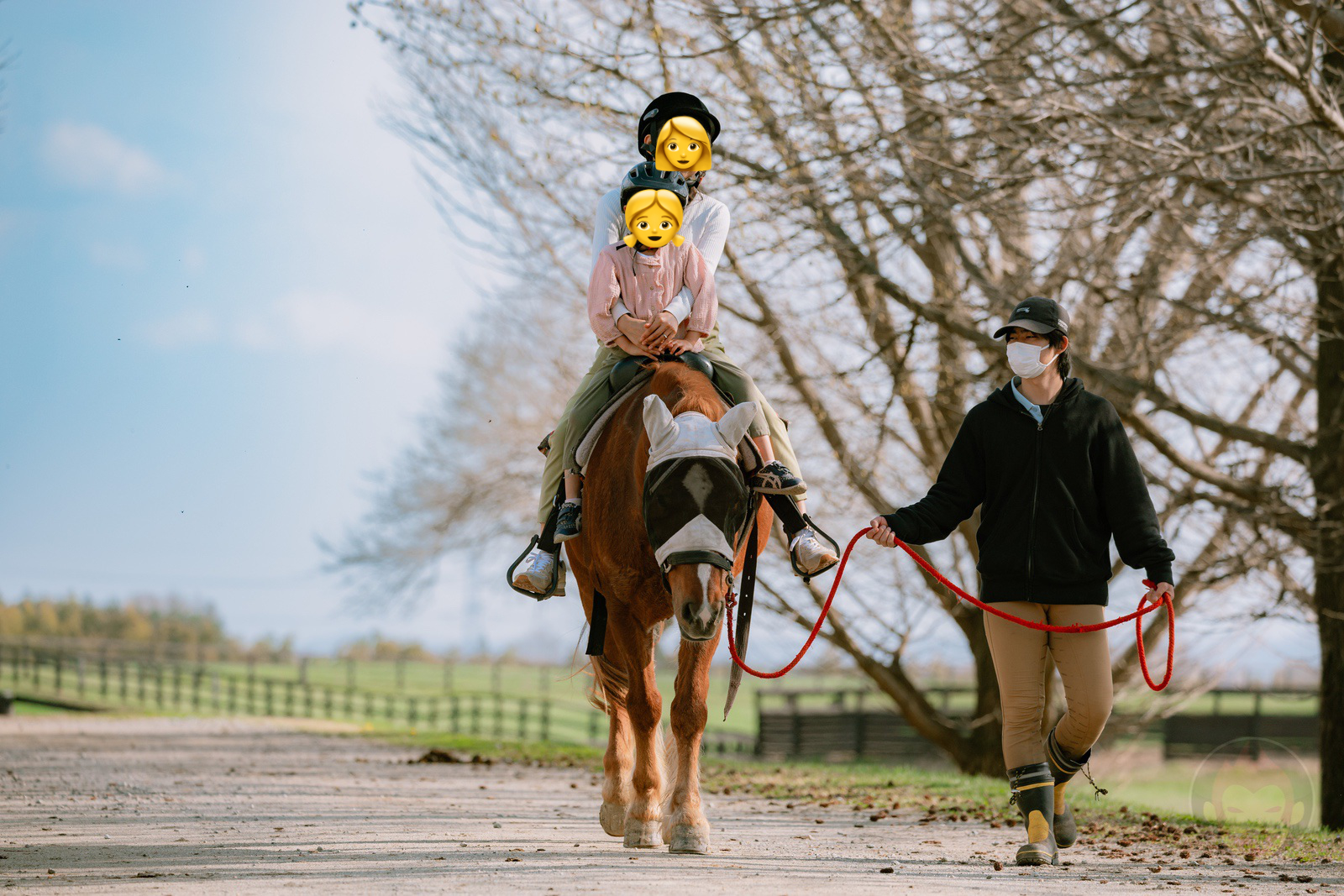 NASU FARM Village Horses and my kids 27