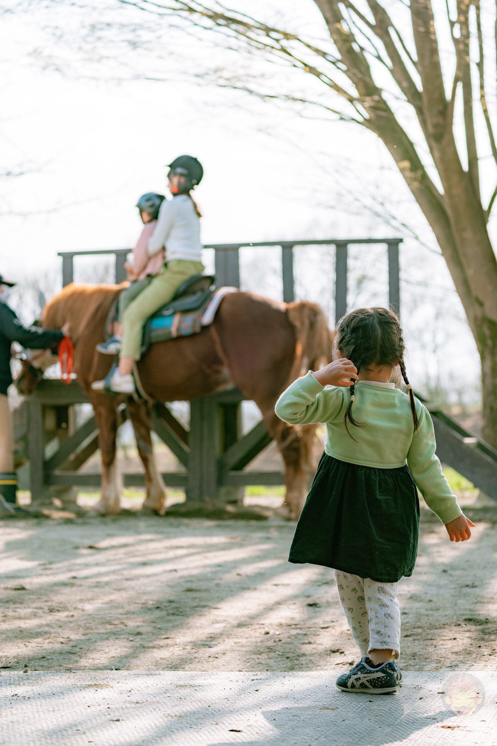 NASU FARM Village Horses and my kids 28