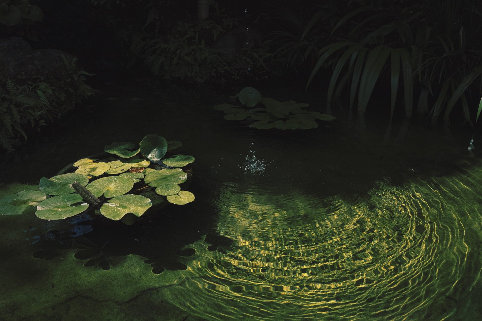 28mm f2 8 STM lens review 01