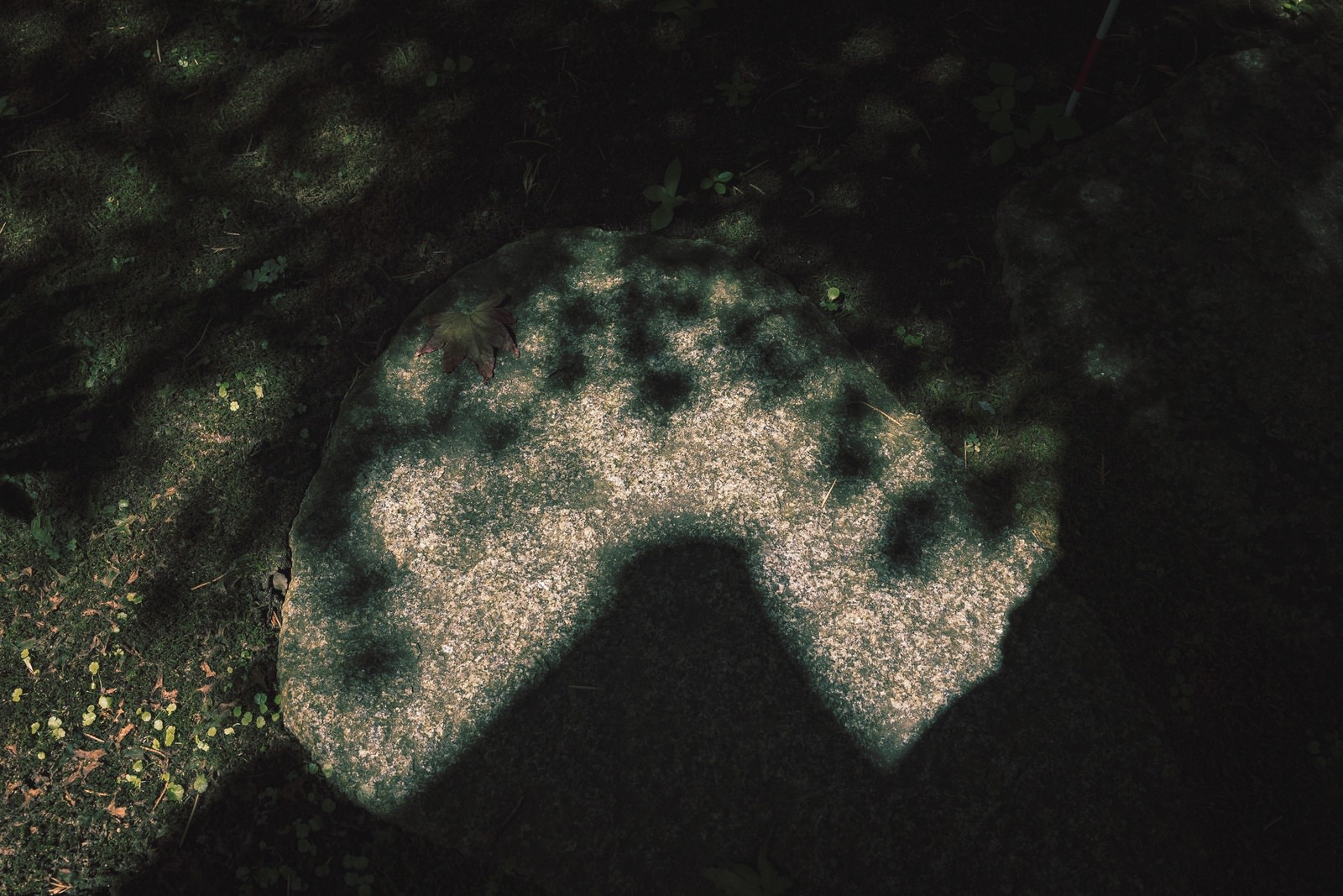 28mm f2 8 STM lens review 02