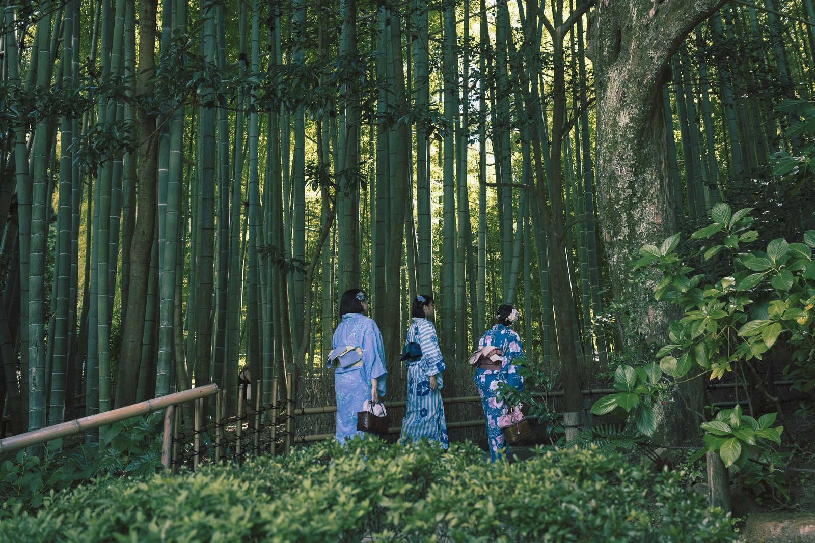 28mm f2 8 STM lens review 03