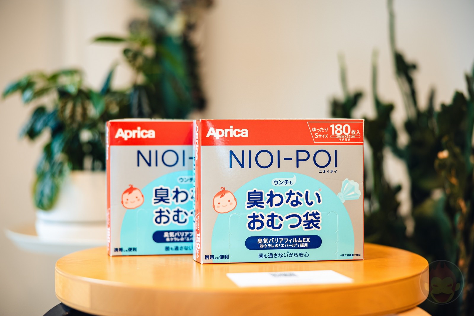 Amazon Bosai no hi seminar 27