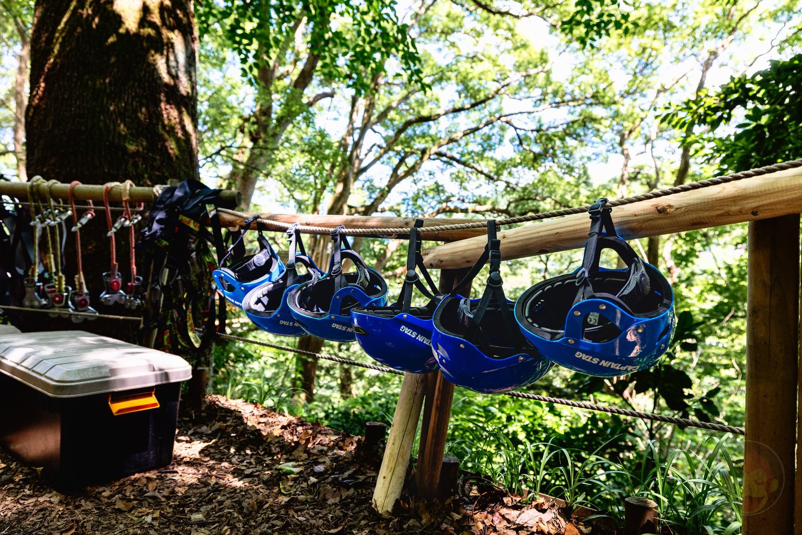 Morino Kuchuu Sanpo 01