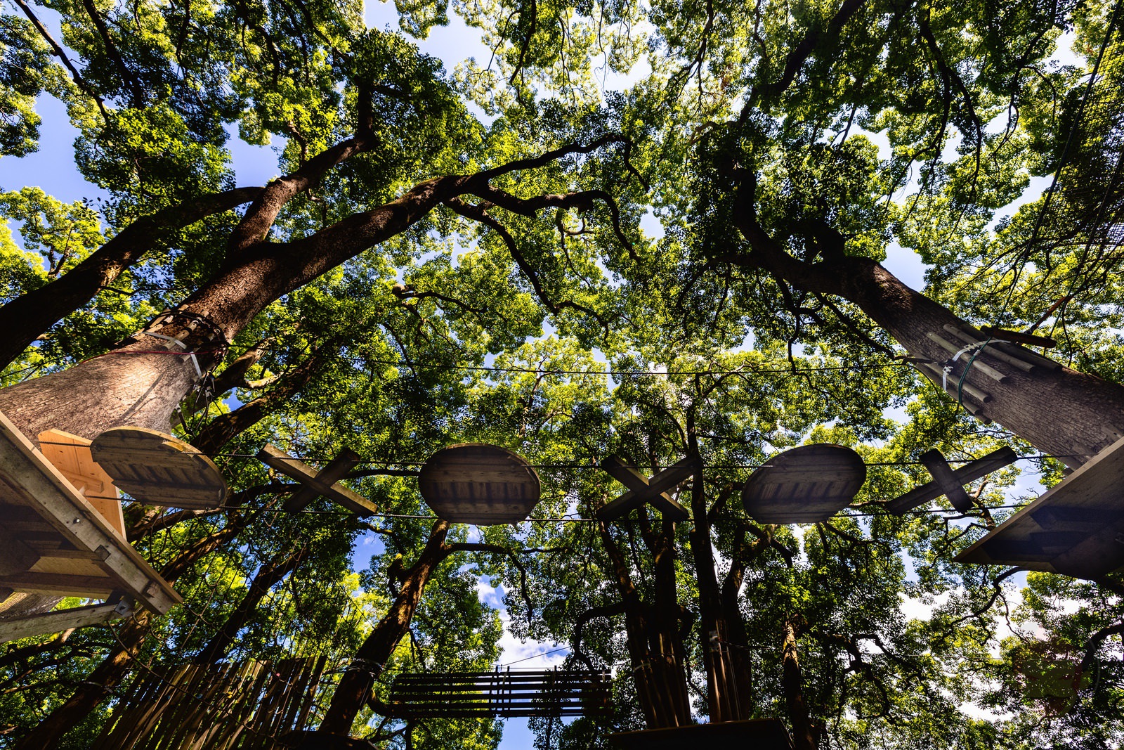 Morino Kuchuu Sanpo 02