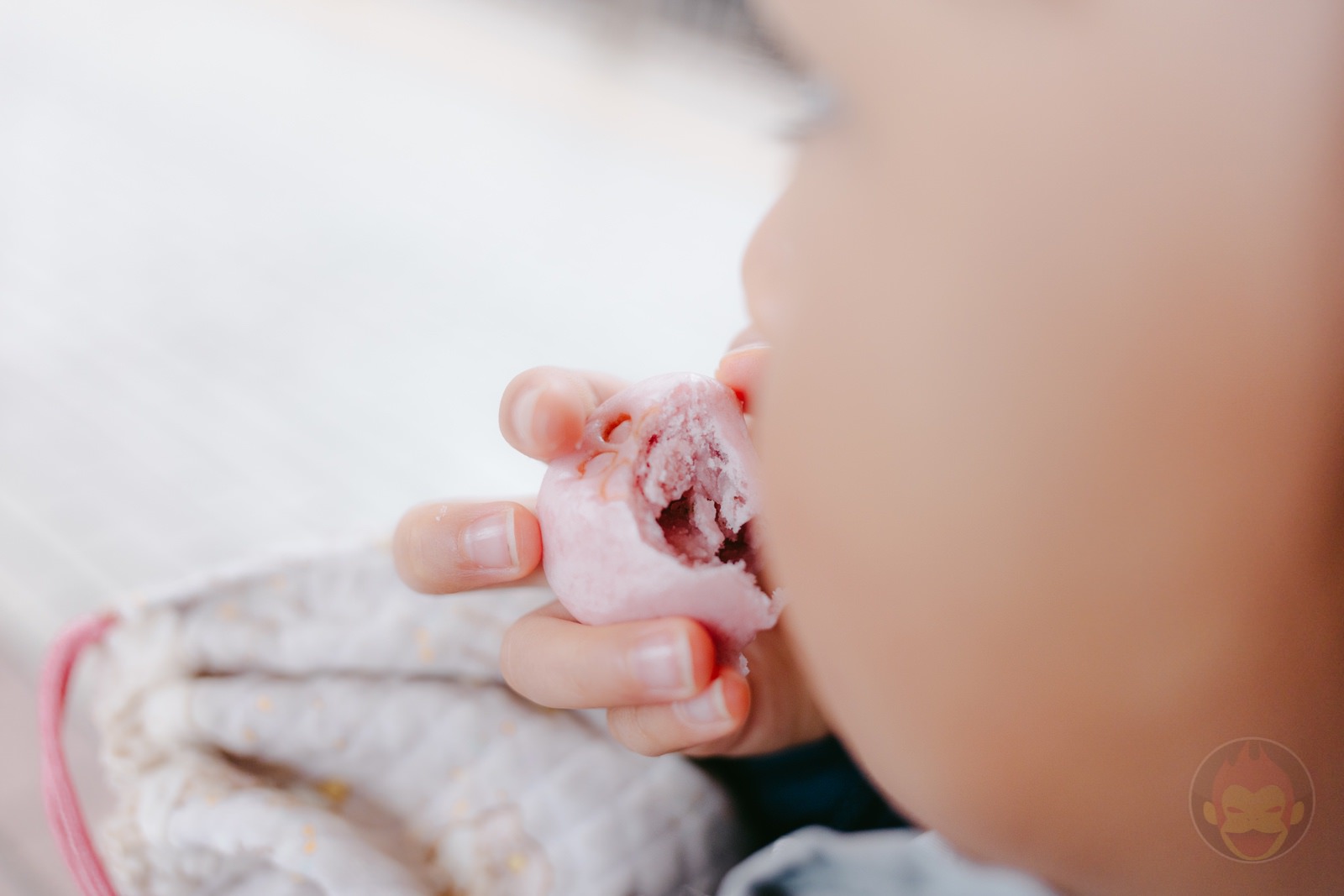 Daddy and two daughters go on a shinkansen trip 06