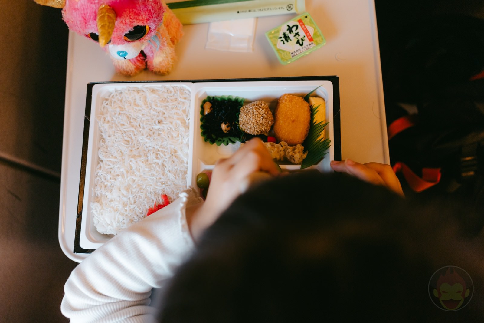 Daddy and two daughters go on a shinkansen trip 61