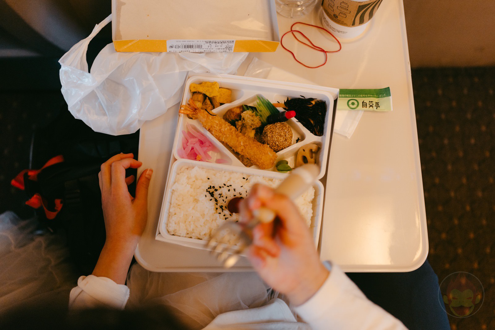 Daddy and two daughters go on a shinkansen trip 62