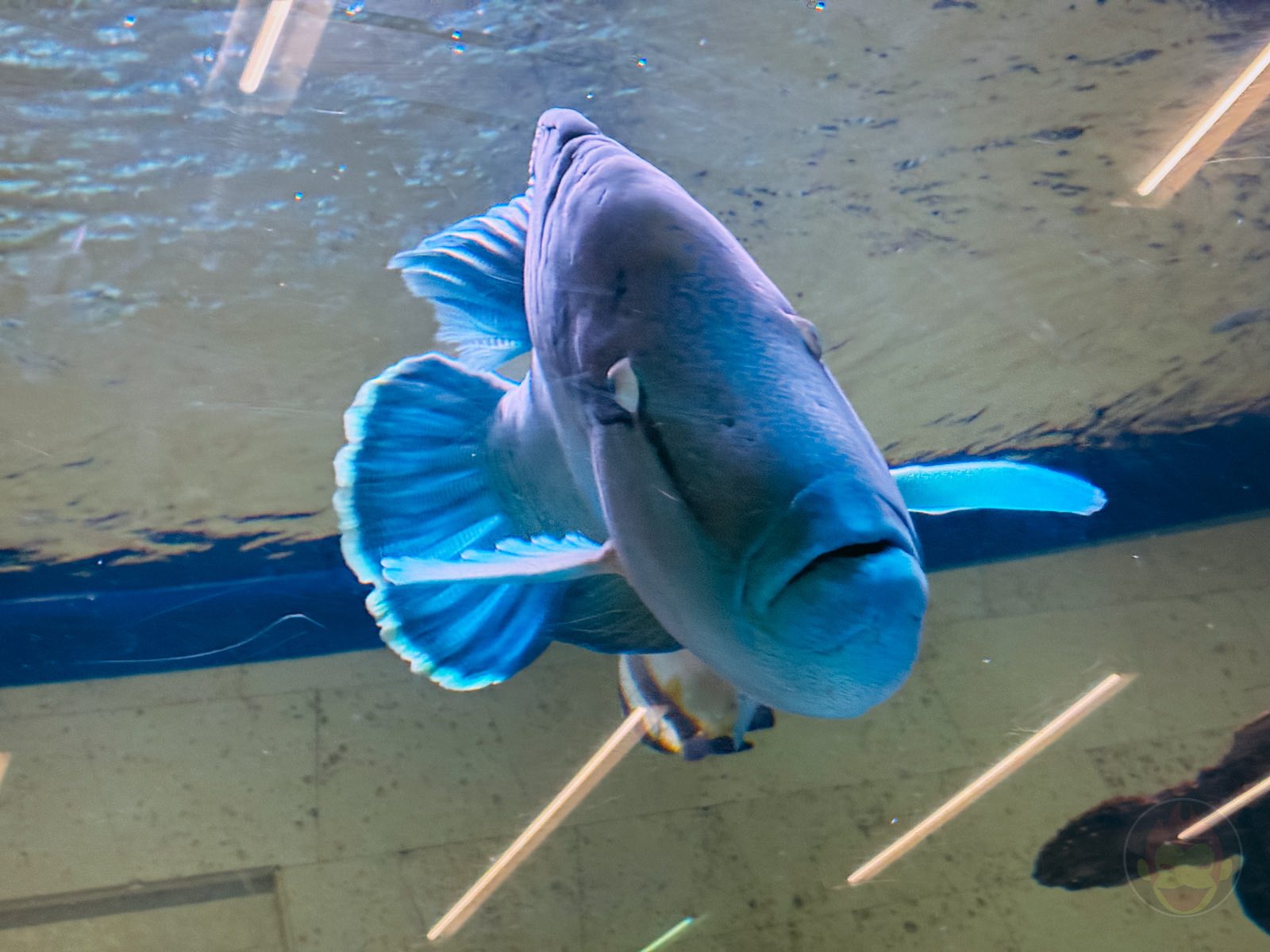 Okinawa trip iphone16e photos by daughter 07