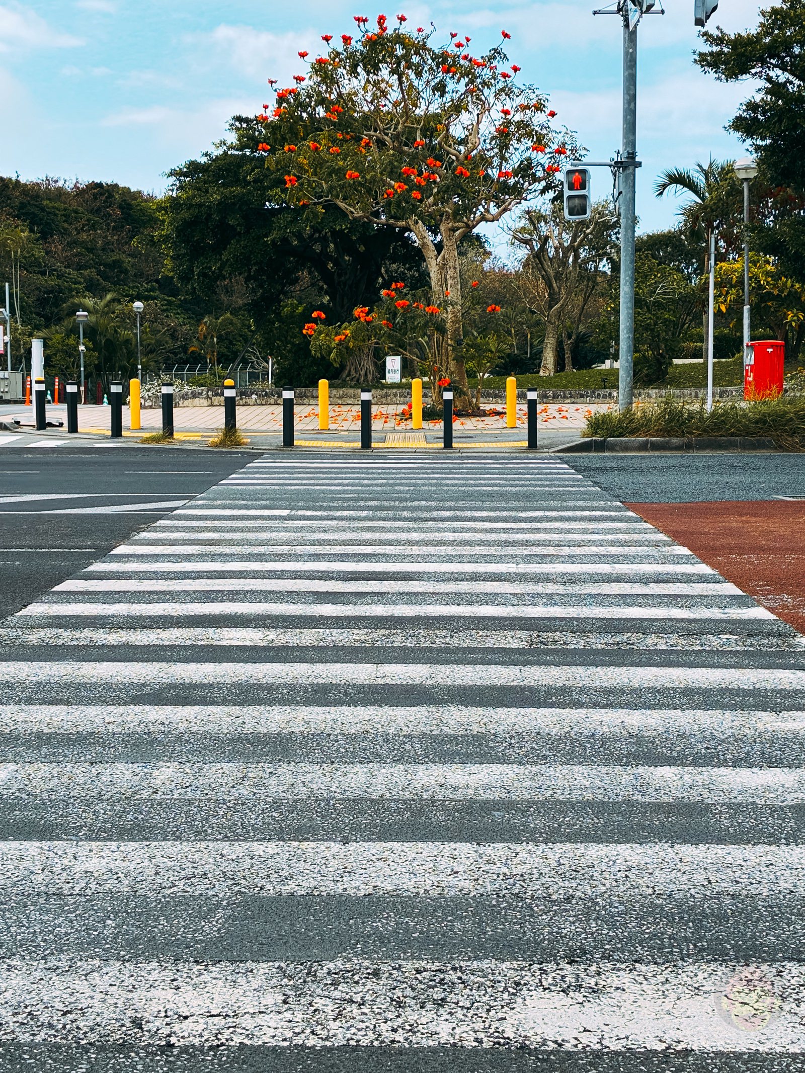 Okinawa trip iphone16e photos by daughter 09