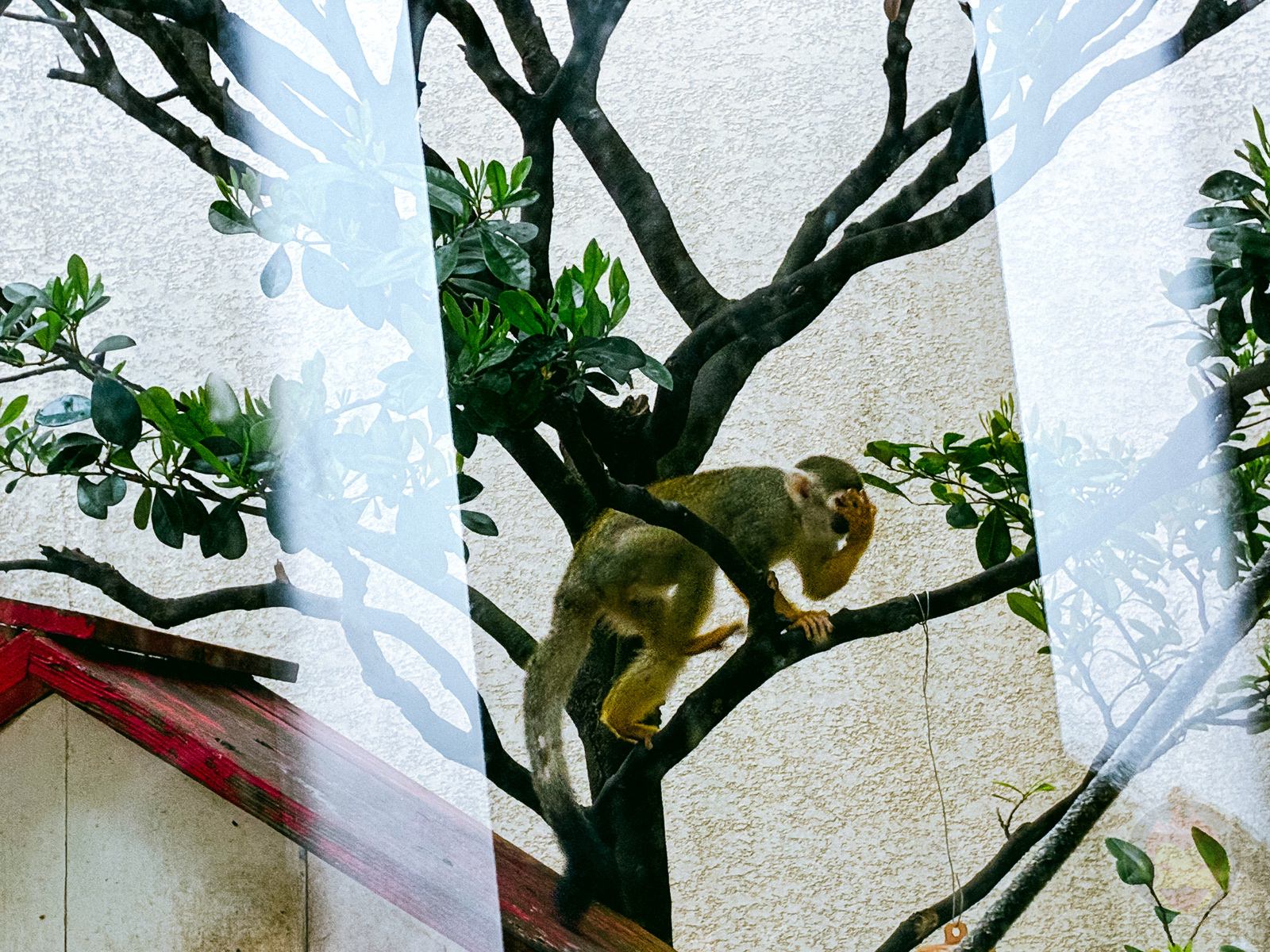 Okinawa trip iphone16e photos by daughter 21