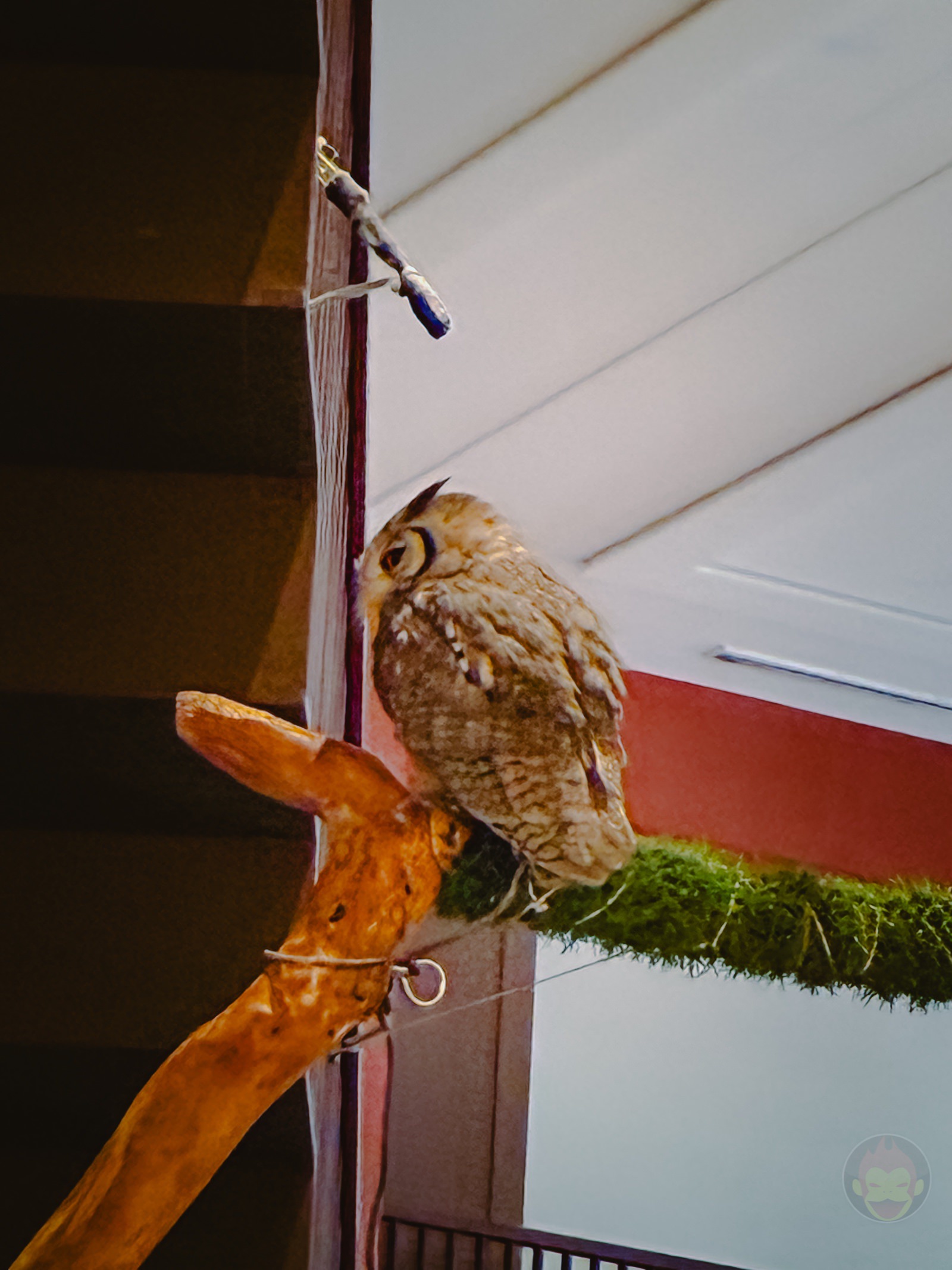 Okinawa trip iphone16e photos by daughter 24