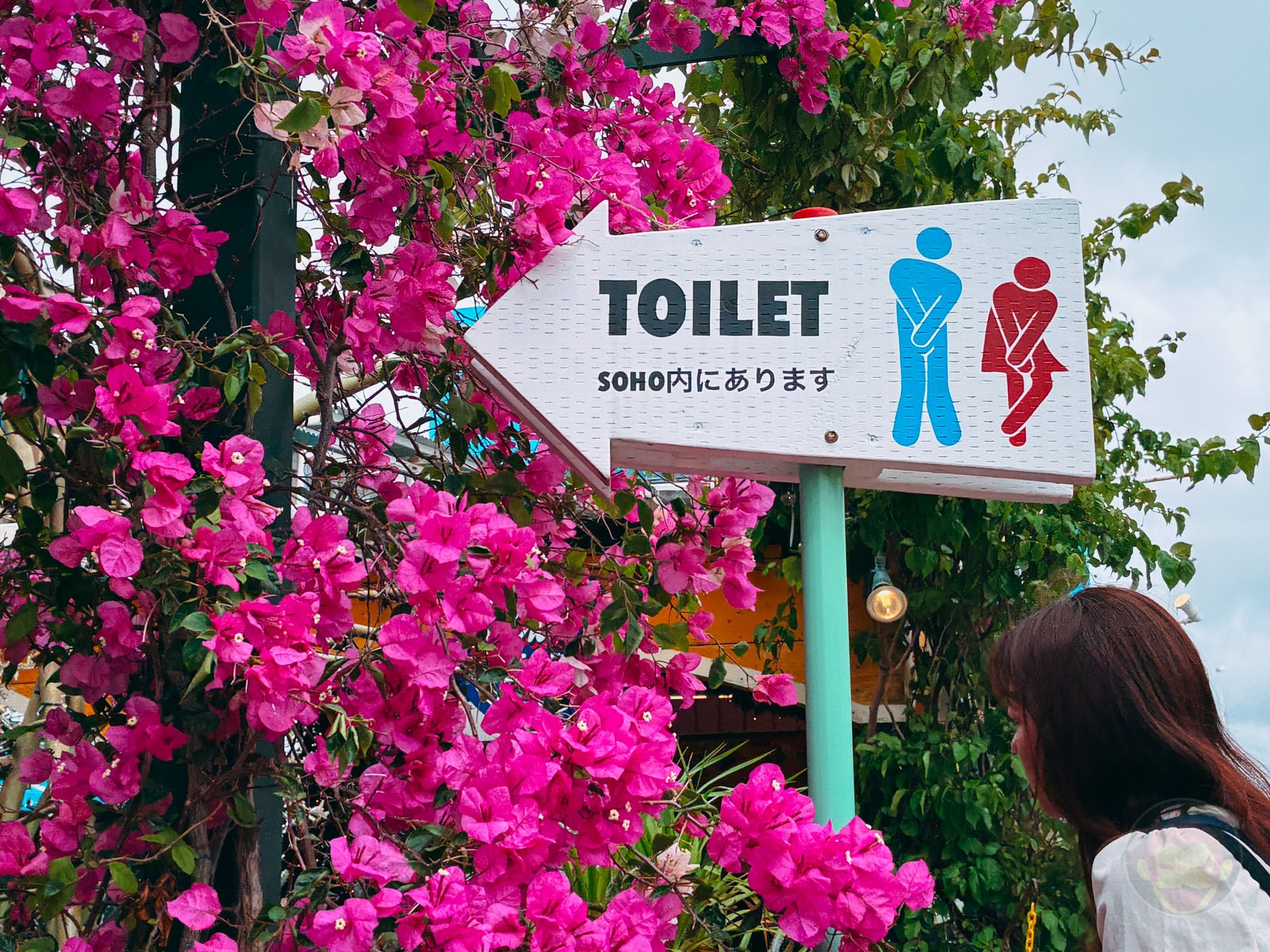 Okinawa trip iphone16e photos by daughter 28