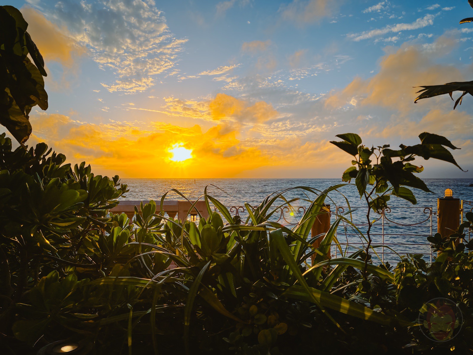 Okinawa trip iphone16e photos by daughter 44