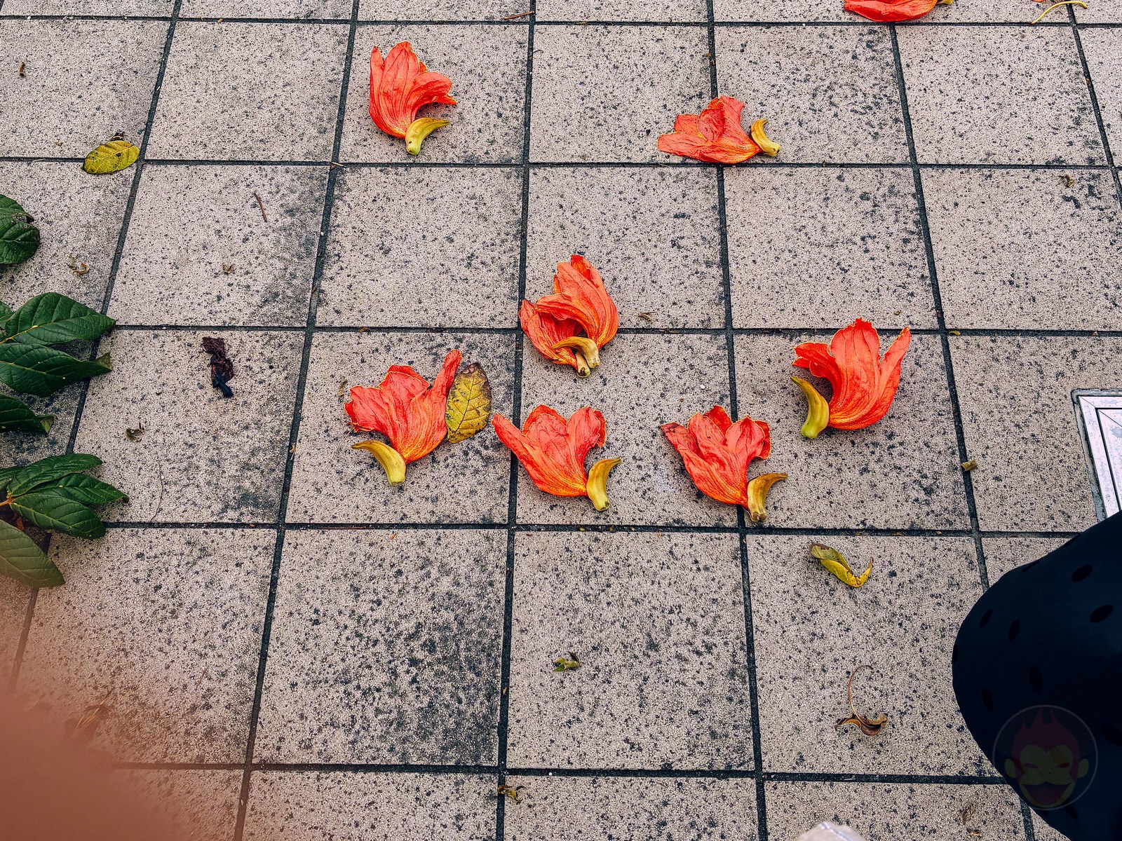 Okinawa trip iphone16e photos by younger daughter 10