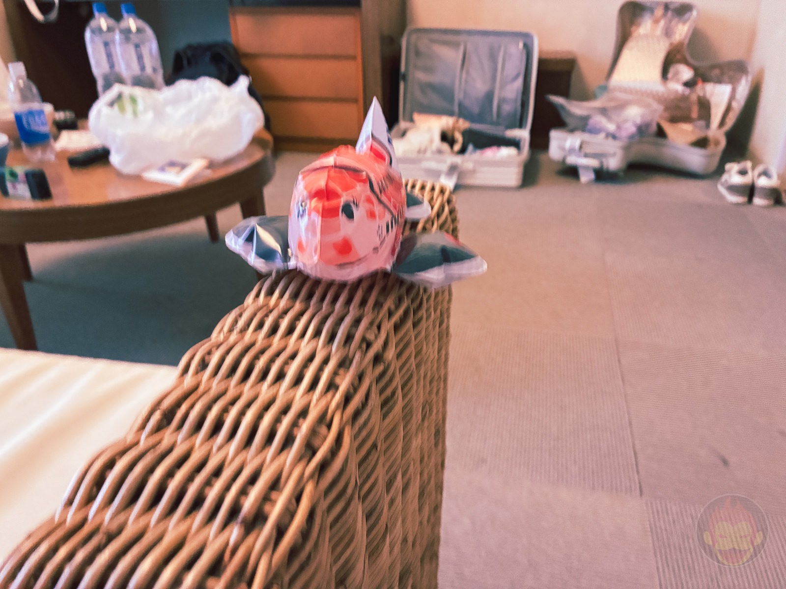 Okinawa trip iphone16e photos by younger daughter 18