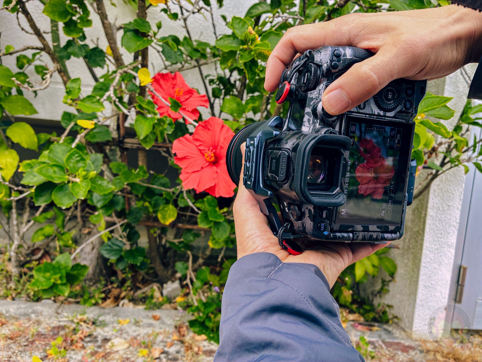 Okinawa trip iphone16e photos by younger daughter 55