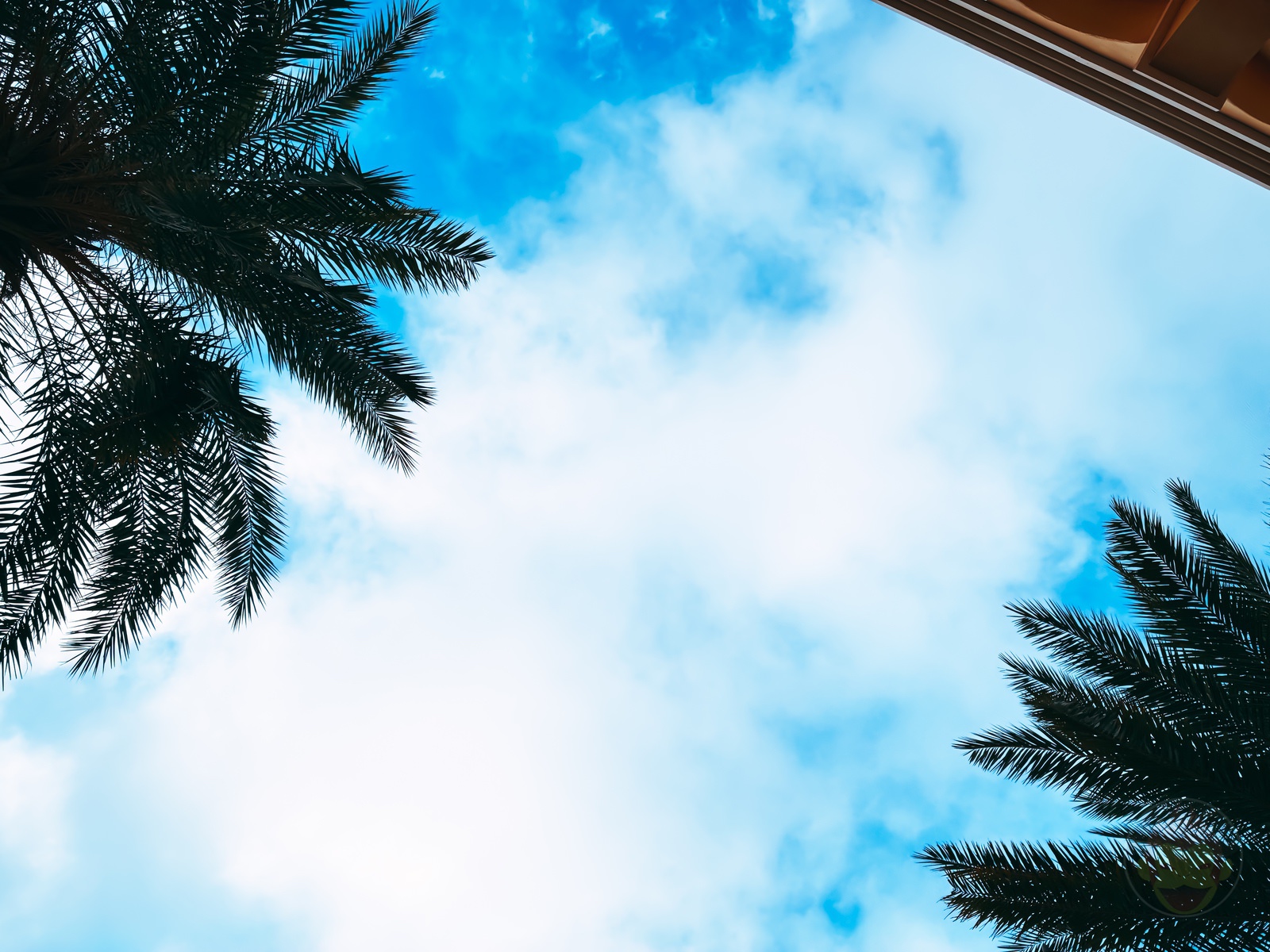 Okinawa trip iphone16e photos by younger daughter 58