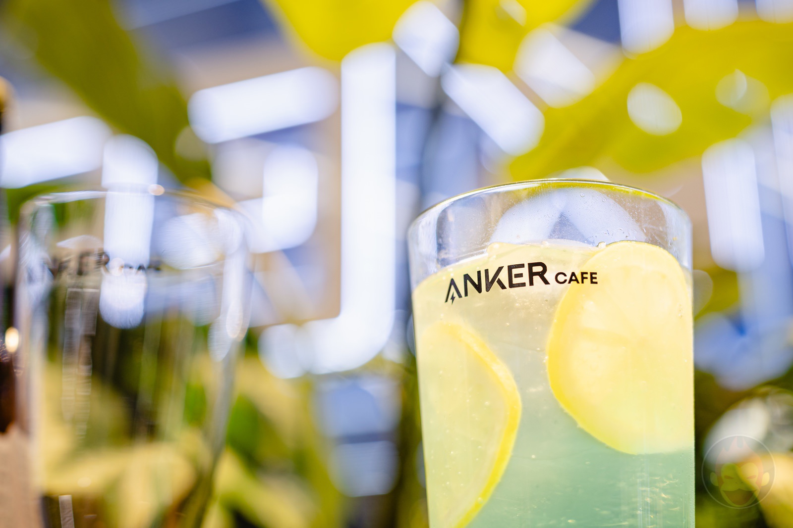 Anker Cafe and Store Grand Open 17