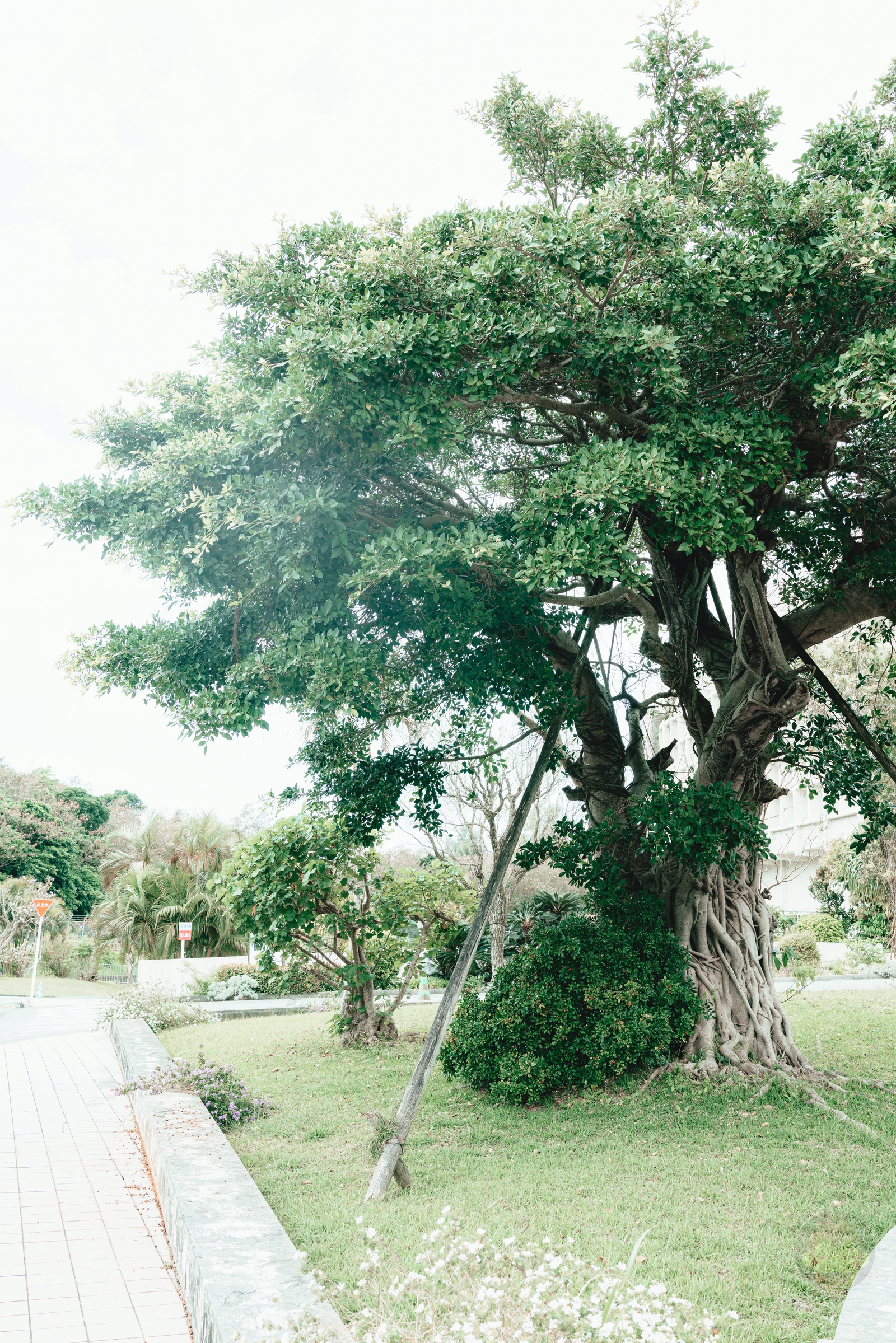 Family Trip to Okinawa 03