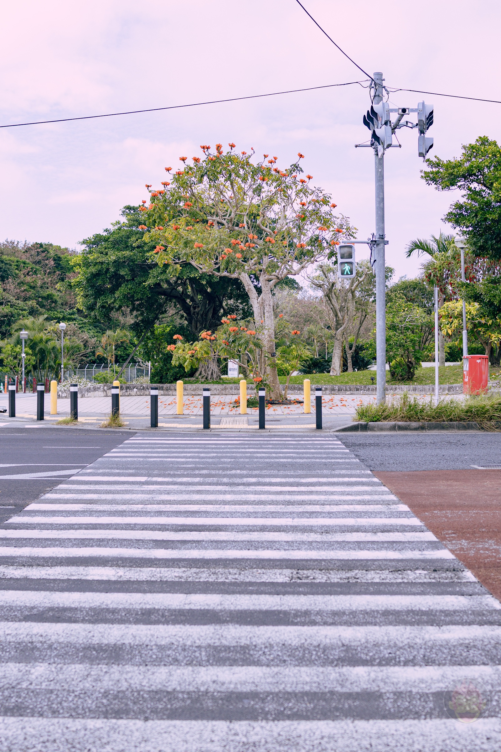 Family Trip to Okinawa 14