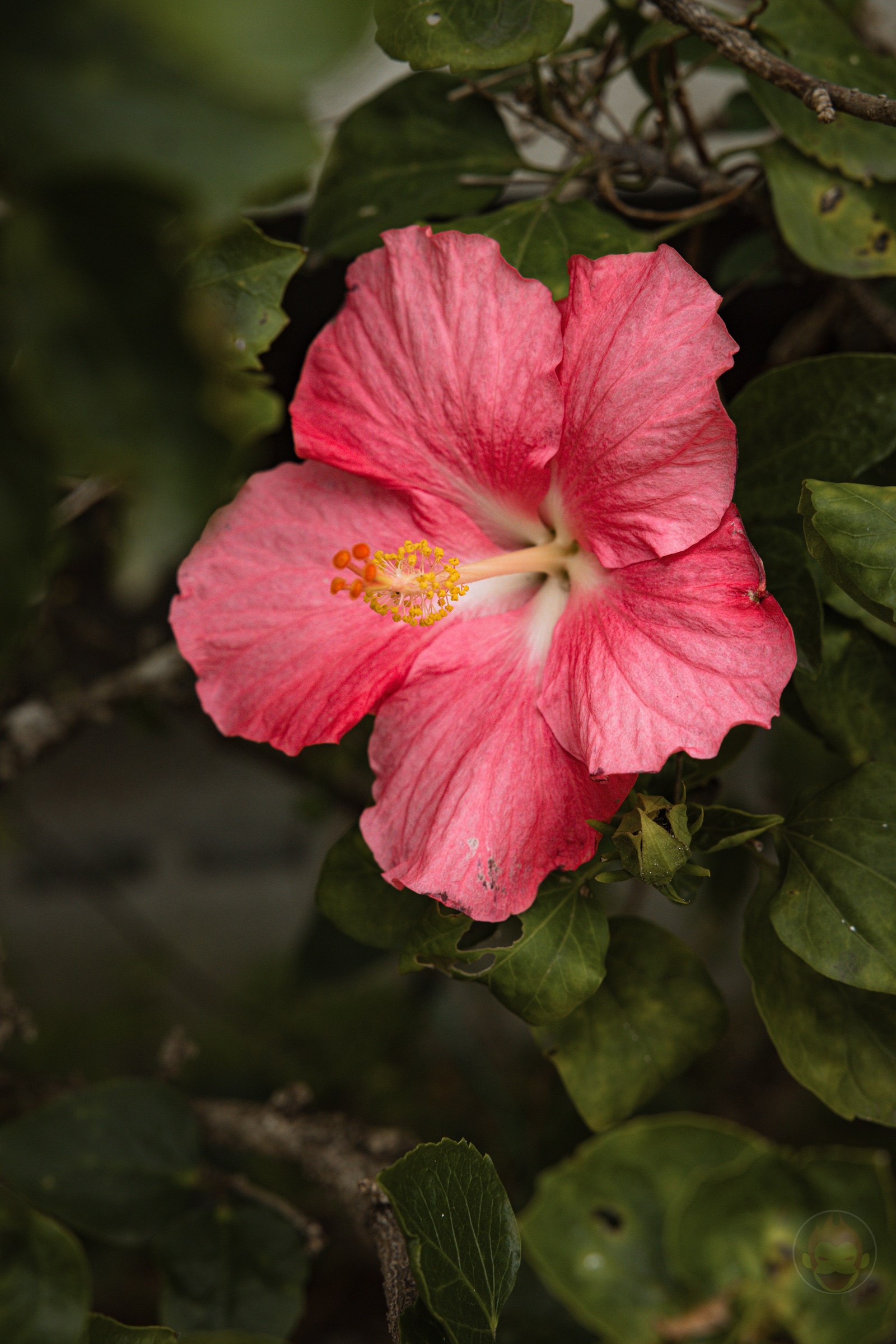 Family Trip to Okinawa 78