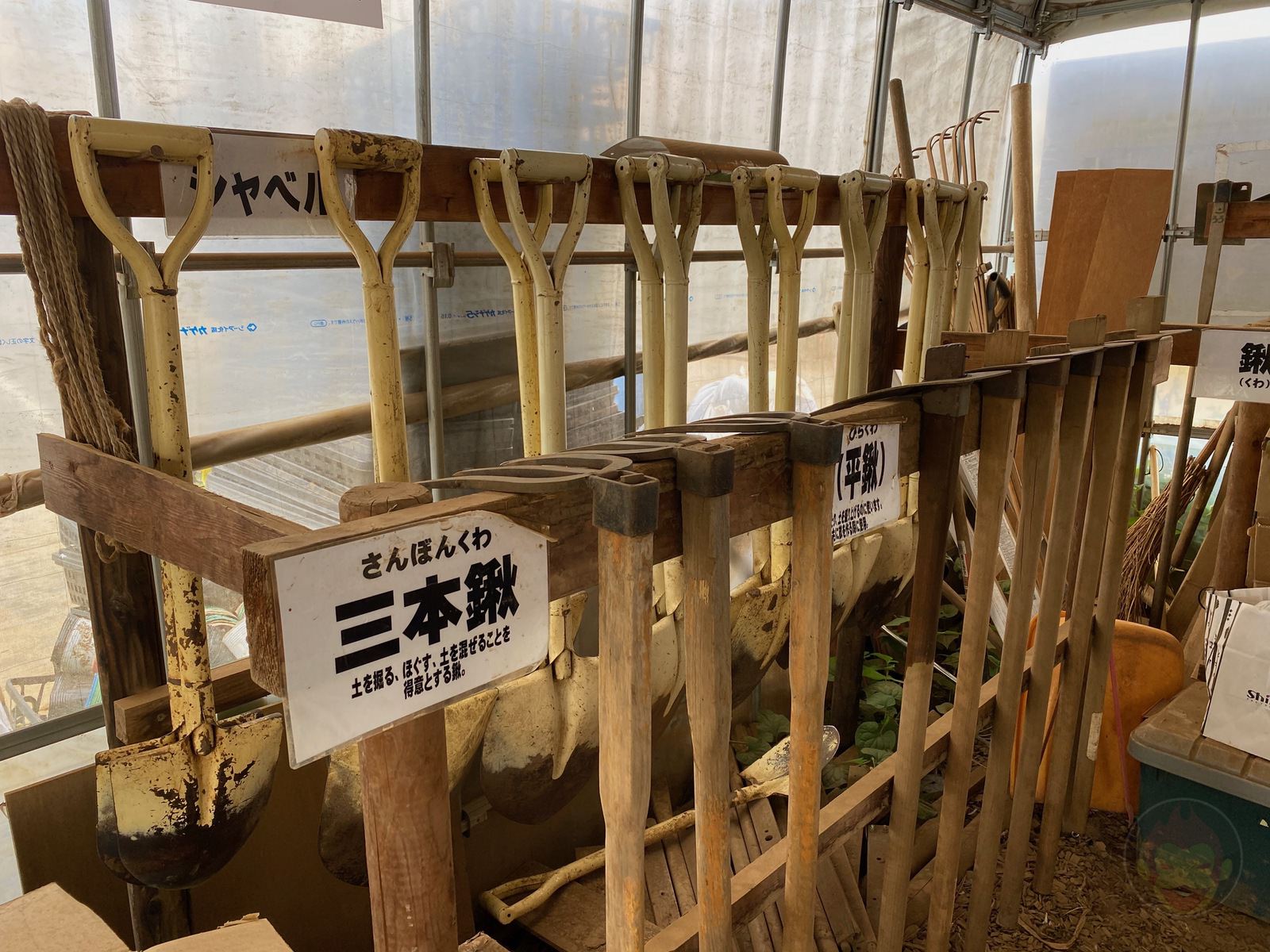 Shared garden for my family 03