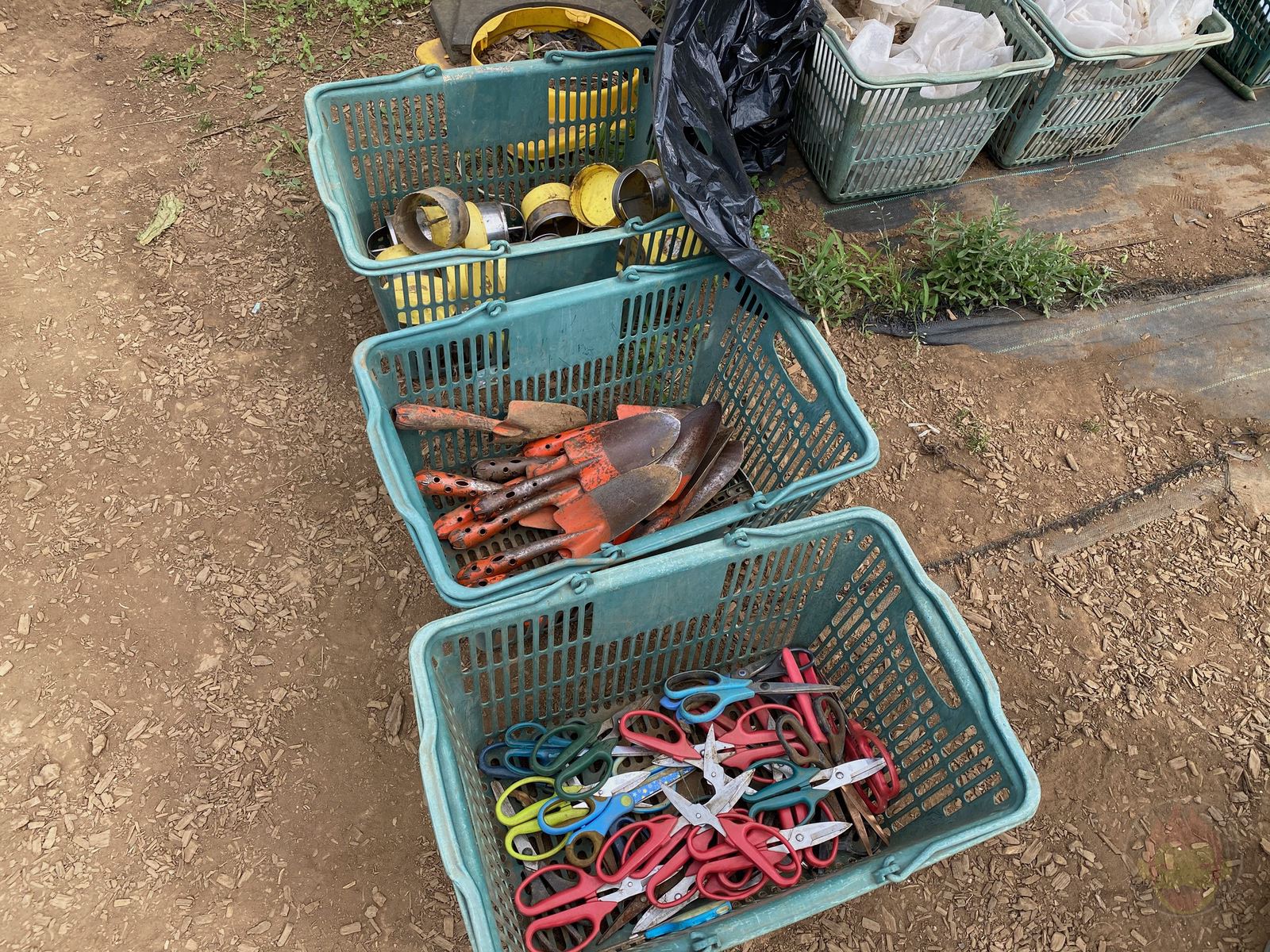 Shared garden for my family 04