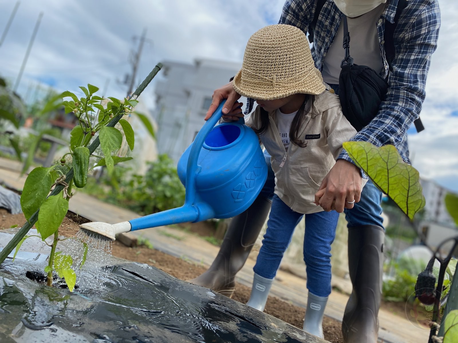 Shared garden for my family 09