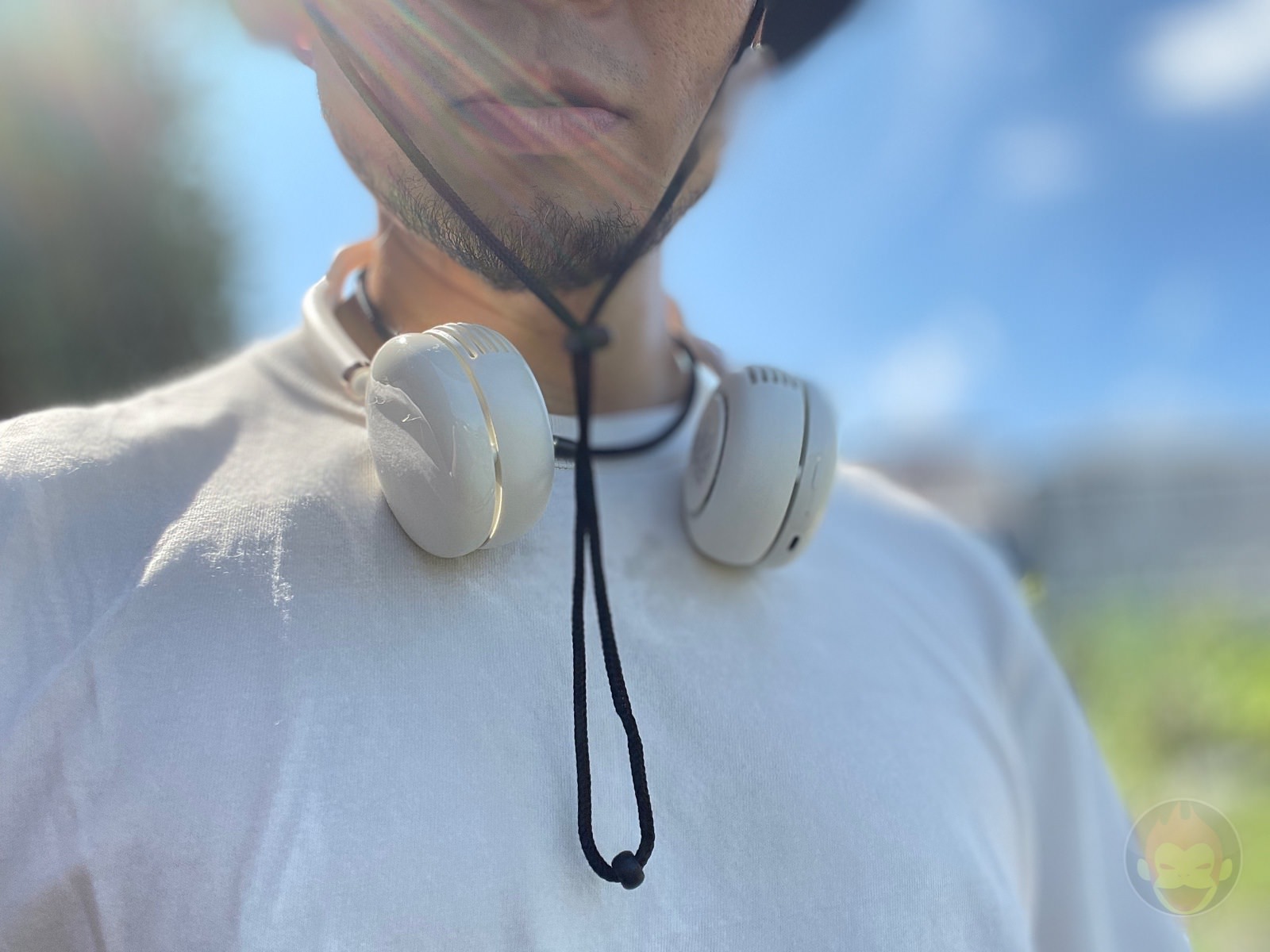 Shared garden for my family 12