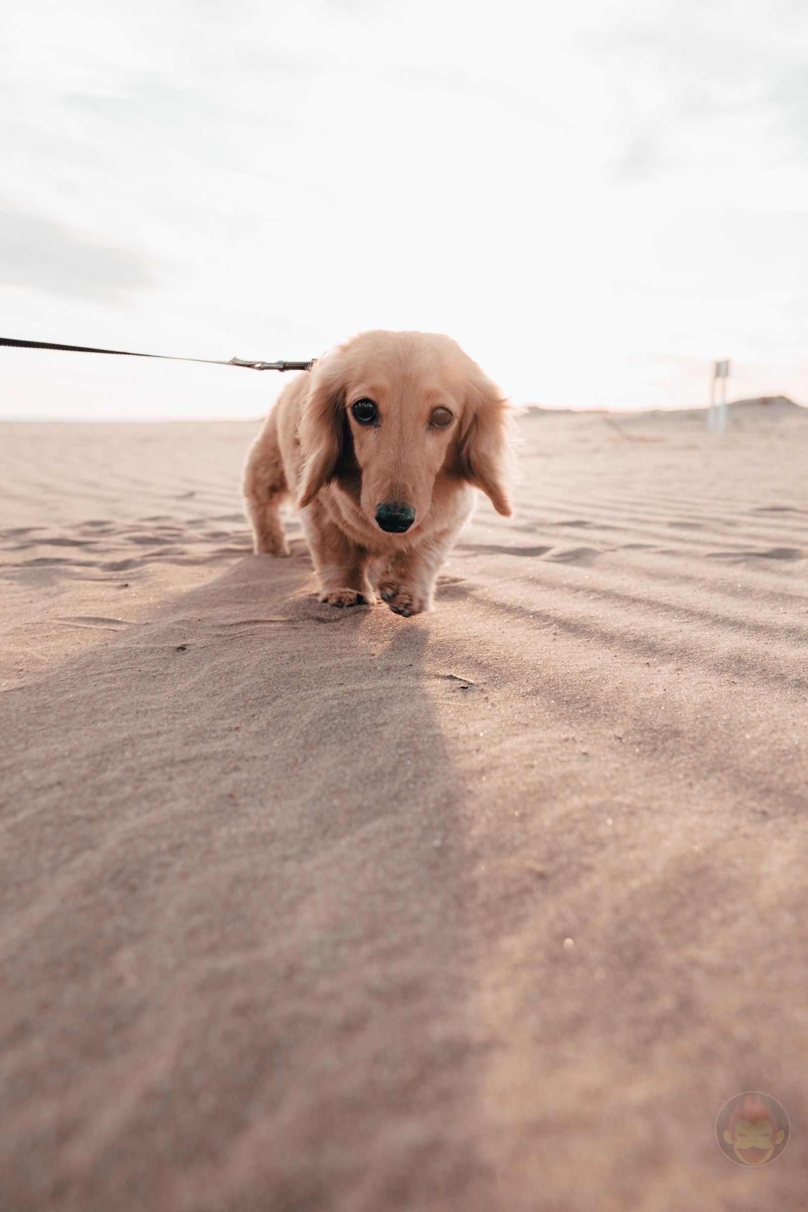 Asovillage Pet OK Kujukuri Cottage Stay with family 92