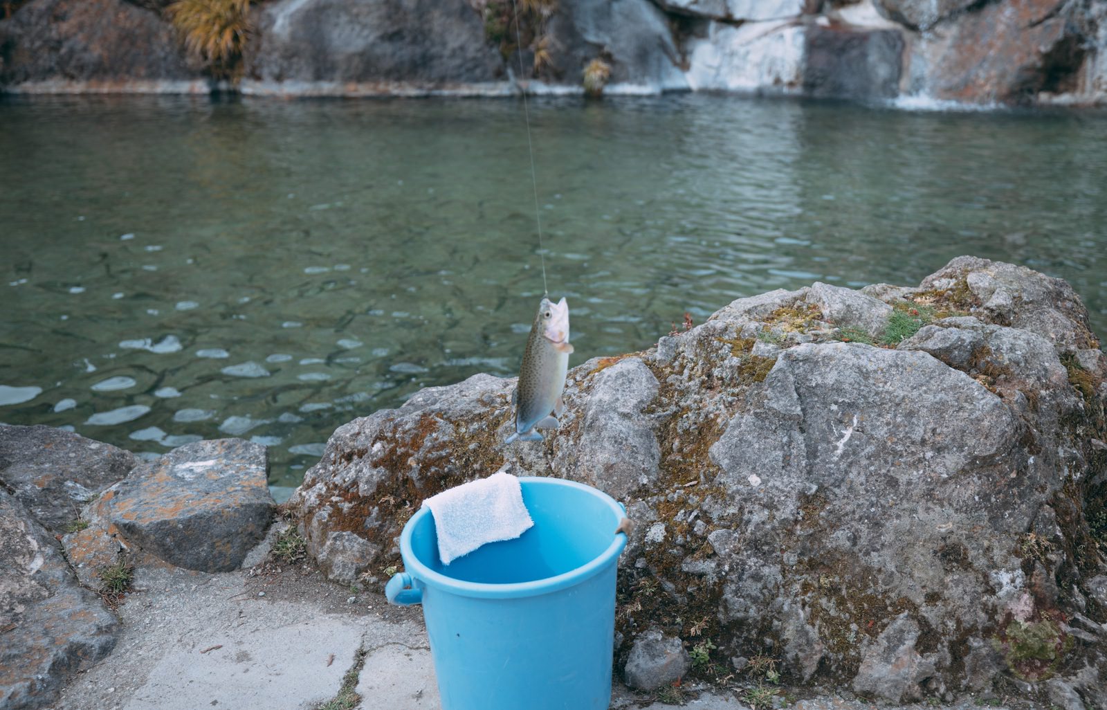 Nasu Seiryu no Sato Fishing 05