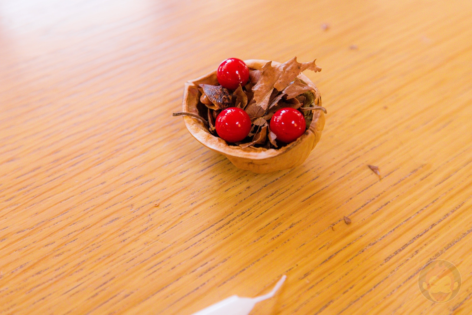 Risonare Nasu Kids Activities 01