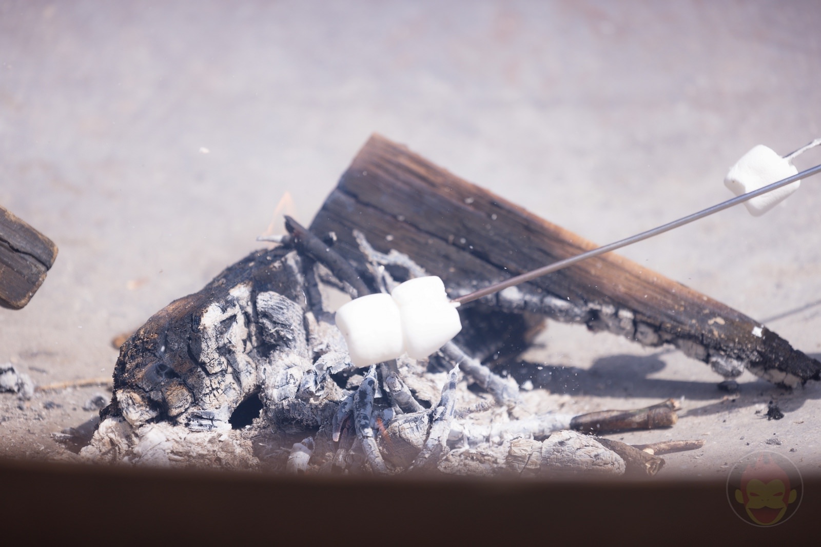 Risonare Nasu Kids Activities 11