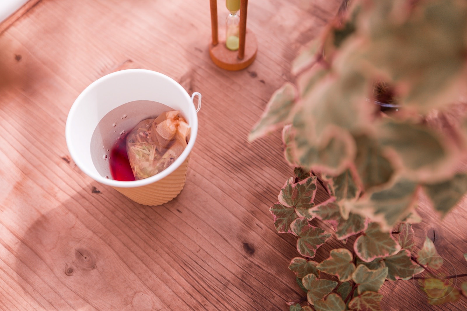 Risonare Nasu Kids Activities 13