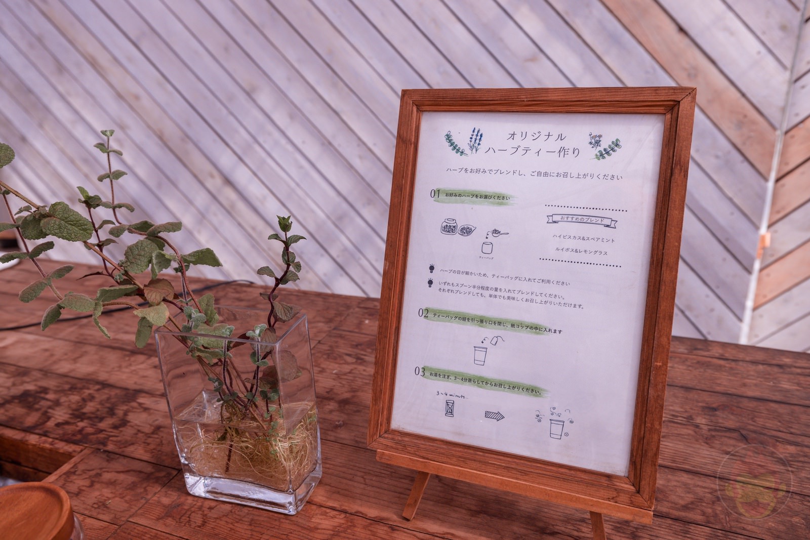 Risonare Nasu Kids Activities 16